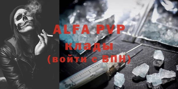 гидра Белокуриха