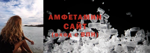 гидра Белокуриха