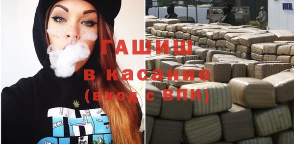 гидра Белокуриха