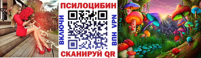 Псилоцибиновые грибы мухоморы  Купить закладки  Болохово 