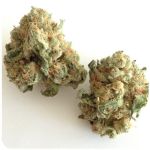 Шишки "White Widow"  (Белая вдова)  Гидропоника -  Бошка VHQ в Болохово